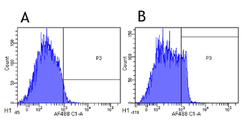 Anti-CD4 [MT310]