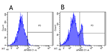 Anti-CD4 [MT310]