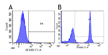 Anti-CD4 [13B8.2 (IOT4a)]