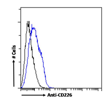 Anti-CD226 [10E5]