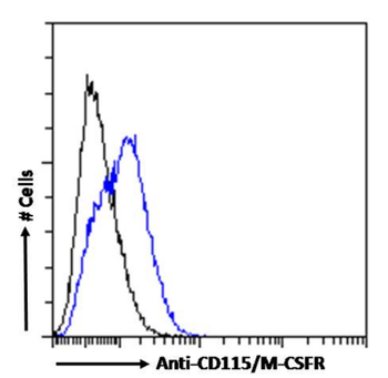 Anti-CD115/M-CSFR [AFS98]
