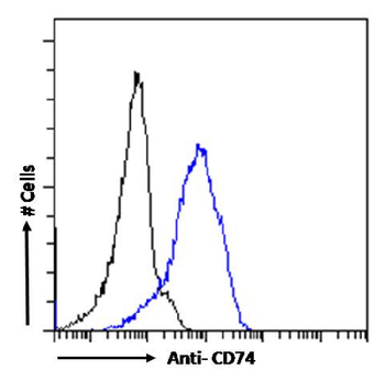 Anti-CD74 [LN-2]