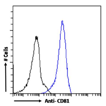 Anti-CD81 [1.3.3.22]