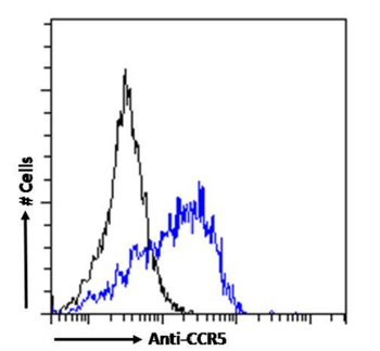 Anti-CCR5 [T21/8]