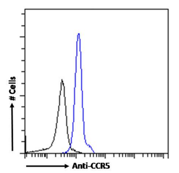 Anti-CCR5 (PKC site) [RC-10]