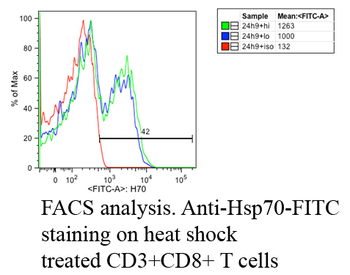 HSP70 Antibody (PerCP)