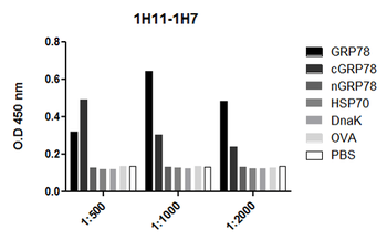 GRP78 Antibody (RPE)