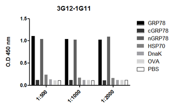 GRP78 Antibody (RPE)