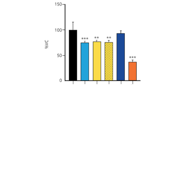 Alpha Synuclein A53T Mutant Pre-formed Fibrils
