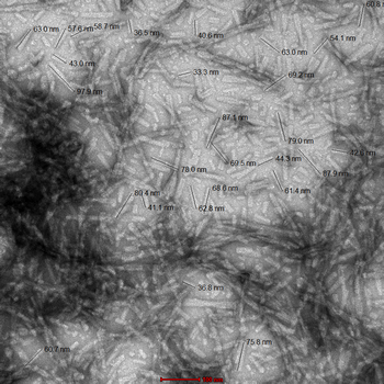 Alpha Synuclein Pre-formed Fibrils