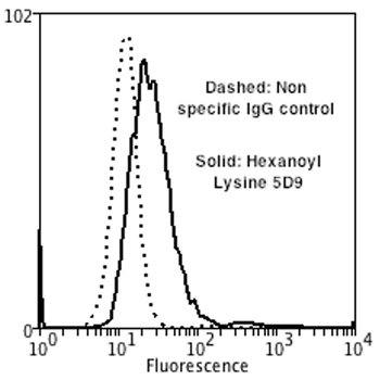 Hexanoyl-Lysine adduct Antibody (HRP)