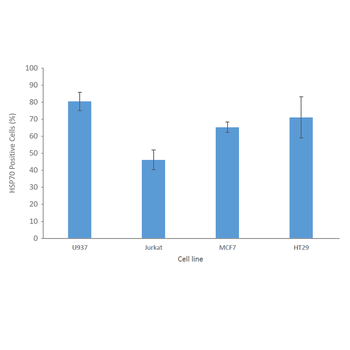 HSP70 Antibody (APC)
