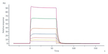 Human IL-20 Protein, His Tag