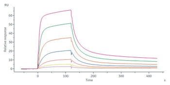 Human IL-18 R1 Protein, Fc Tag