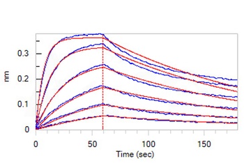 Mouse IL-13 R alpha 1 Protein, Fc Tag