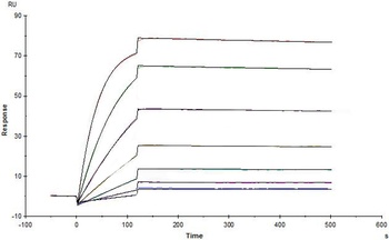 Human IL-1 RII Protein, Fc Tag