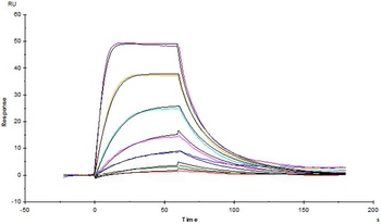 Human IL-2 R alpha Protein, His Tag