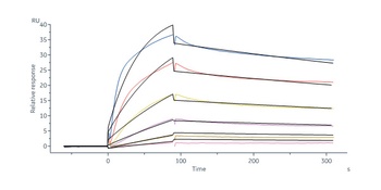 Human HGF Protein, His Tag