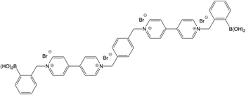 pBoB