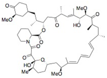 41-Oxo-rapamycin