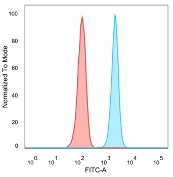 QKI Antibody