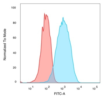 QKI Antibody