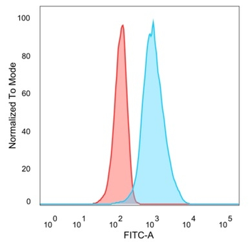 QKI Antibody