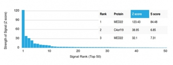 MED22 Antibody