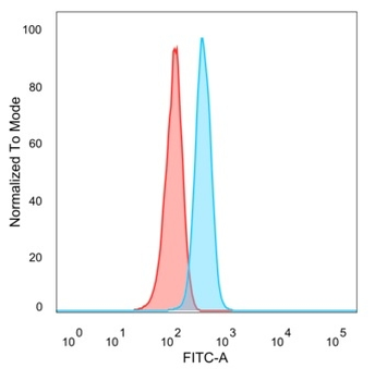 ZNF704 Antibody