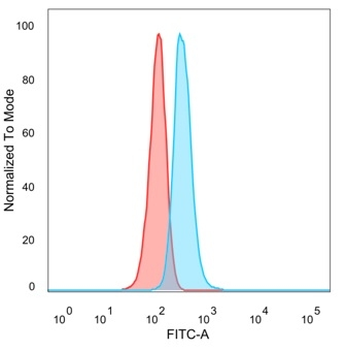 MAPK1 Antibody