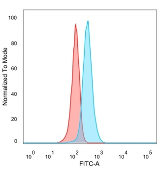 PHF10 Antibody