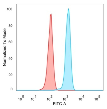 ZSCAN2 Antibody
