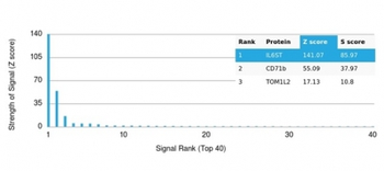 IL6ST Antibody