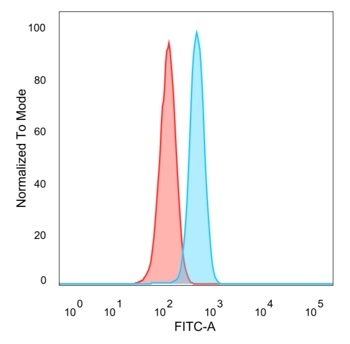 GTF2B Antibody