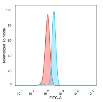 SIRT1 Antibody