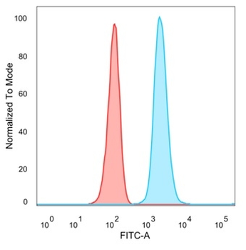 ZNF358 Antibody