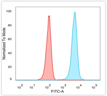 JAZF1 Antibody