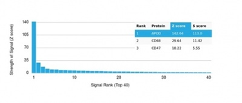 APOD Antibody