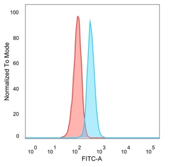 CBFB Antibody
