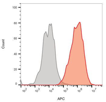 CD63 Antibody