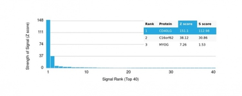 CD40LG Antibody