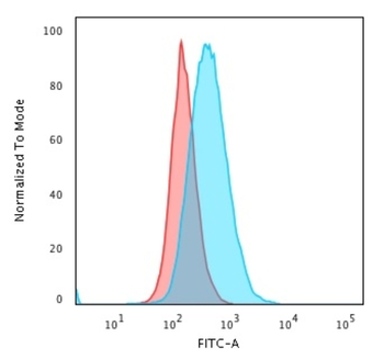 HLA-DPB1 Antibody