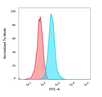 CTNNB1 Antibody