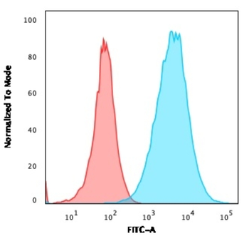 S100A4 Antibody