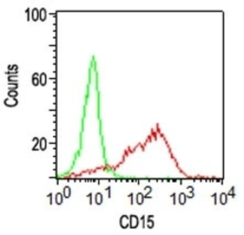 FUT4 Antibody
