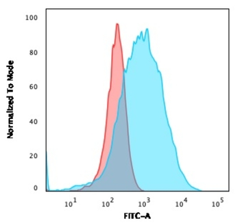 FUT4 Antibody
