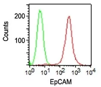EPCAM Antibody (Biotin)