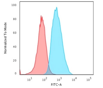 S100A4 Antibody (Biotin)