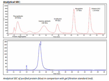 Mouse IgG2b k Isotype Control (MPC-11), InVivoPure+