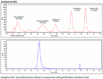 HLA-A2 mAb (BB7.2), InVivoPure